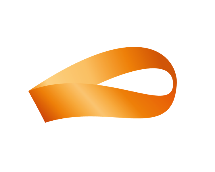 LOGO LMI_Bild